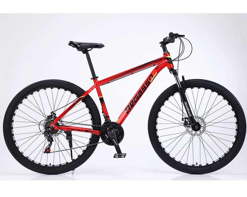 BEGASSO MTB KLL-300 Bicikl 24’’ crveni